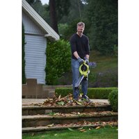 Ryobi RBV36B [5133002524] Image #2