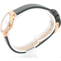 Skagen SKW2669 Image #3