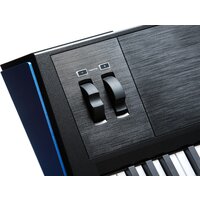 Kurzweil SP6-7 Image #10