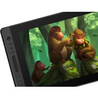Huion Kamvas Pro 16 Premium Image #3