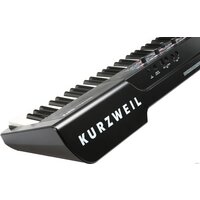 Kurzweil SP1 Image #8