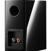 Dynaudio Evoke 10 (черный рояльный лак) Image #4
