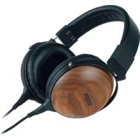 Fostex TH-610 Image #2