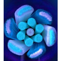 Oral-B iO Ultimate Clean (2 шт, белый) Image #4