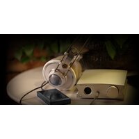 Aune X7s 2021 (серебристый) Image #6