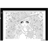 Huion A4