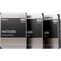 Synology HAT5300 12TB HAT5300-12T Image #2