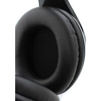 Shure SRH240 Image #12
