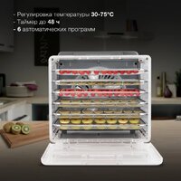 Hyundai HYFD-8800 Image #5