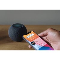 Apple HomePod Mini (серый космос) Image #4