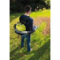 Ryobi RBL42BP Image #4