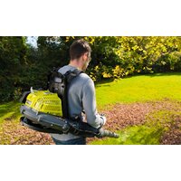 Ryobi RBL42BP Image #5