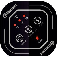 Thermex IF 100 (smart) Image #2