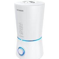 Hyundai Mirabilis Novus H-HU10M-3.0-UI186 Image #2