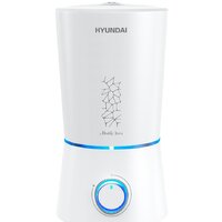 Hyundai Mirabilis Novus H-HU10M-3.0-UI186