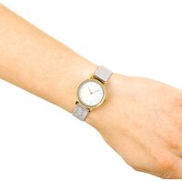 Skagen SKW2445 Image #5