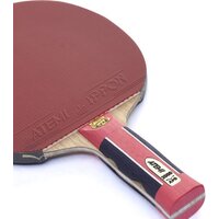 Atemi Pro 2000 AN Image #2