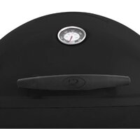 Weber Q 1200 Image #4